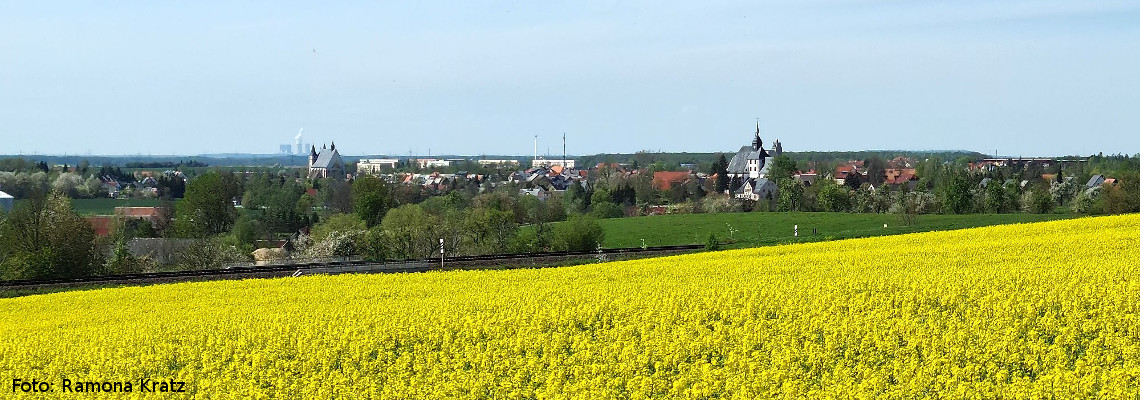 Geithainer Panorama - Blick aus Richtung Breitenborn